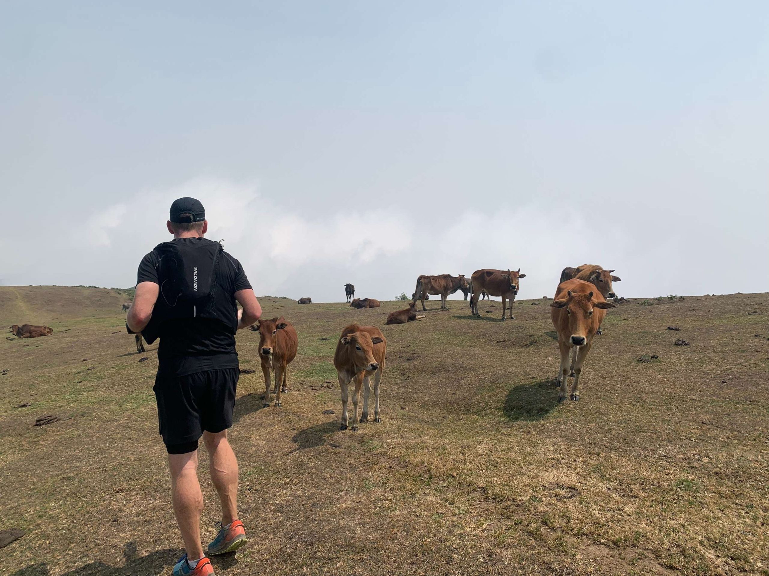 sapa trail running 21km