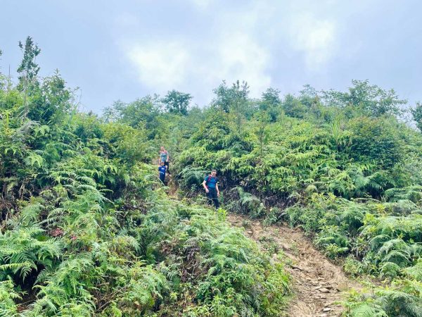 Hiking along a hidden mountain trail in Sapa's untouched nature