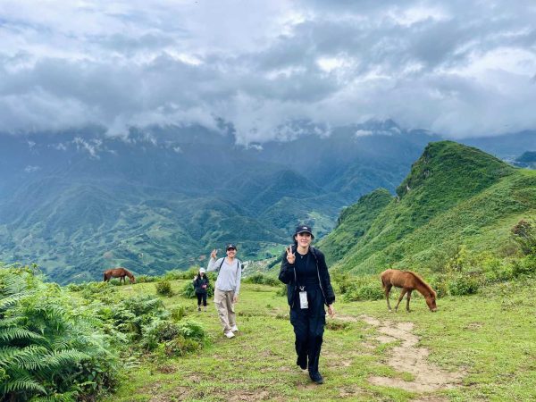 Trekking in the mountains of Sapa with valley views and grazing animals